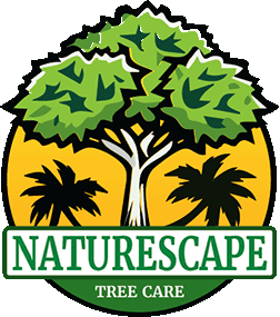 naturescape logo - a pruned tree with palm trees in the background